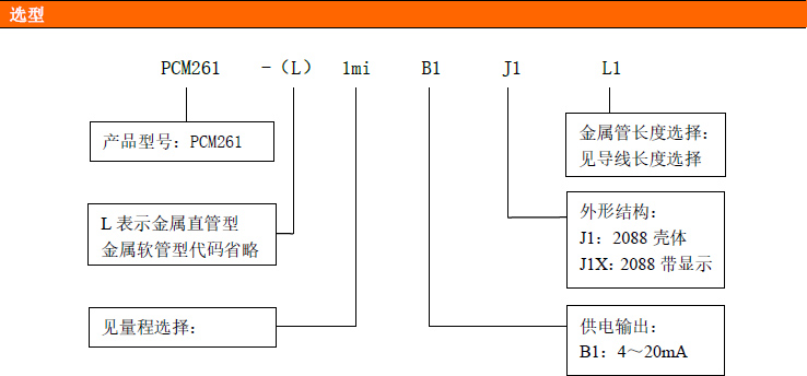 PCM261金属铠装液位变送器 PCM261金属铠装液位变送器